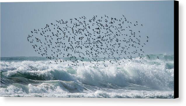 Above The Break - Canvas Print