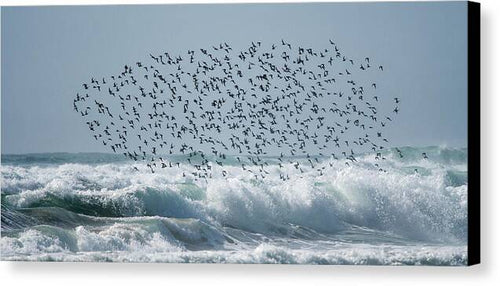 Above The Break - Canvas Print