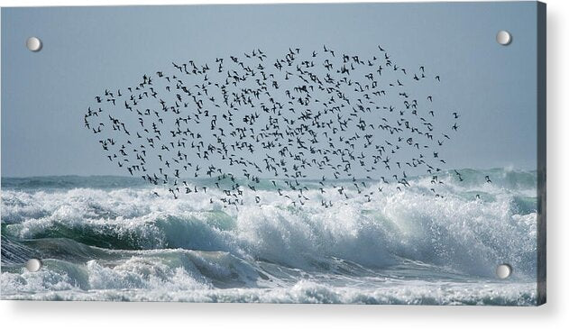 Above The Break - Acrylic Print