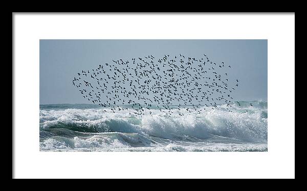 Above The Break - Framed Print