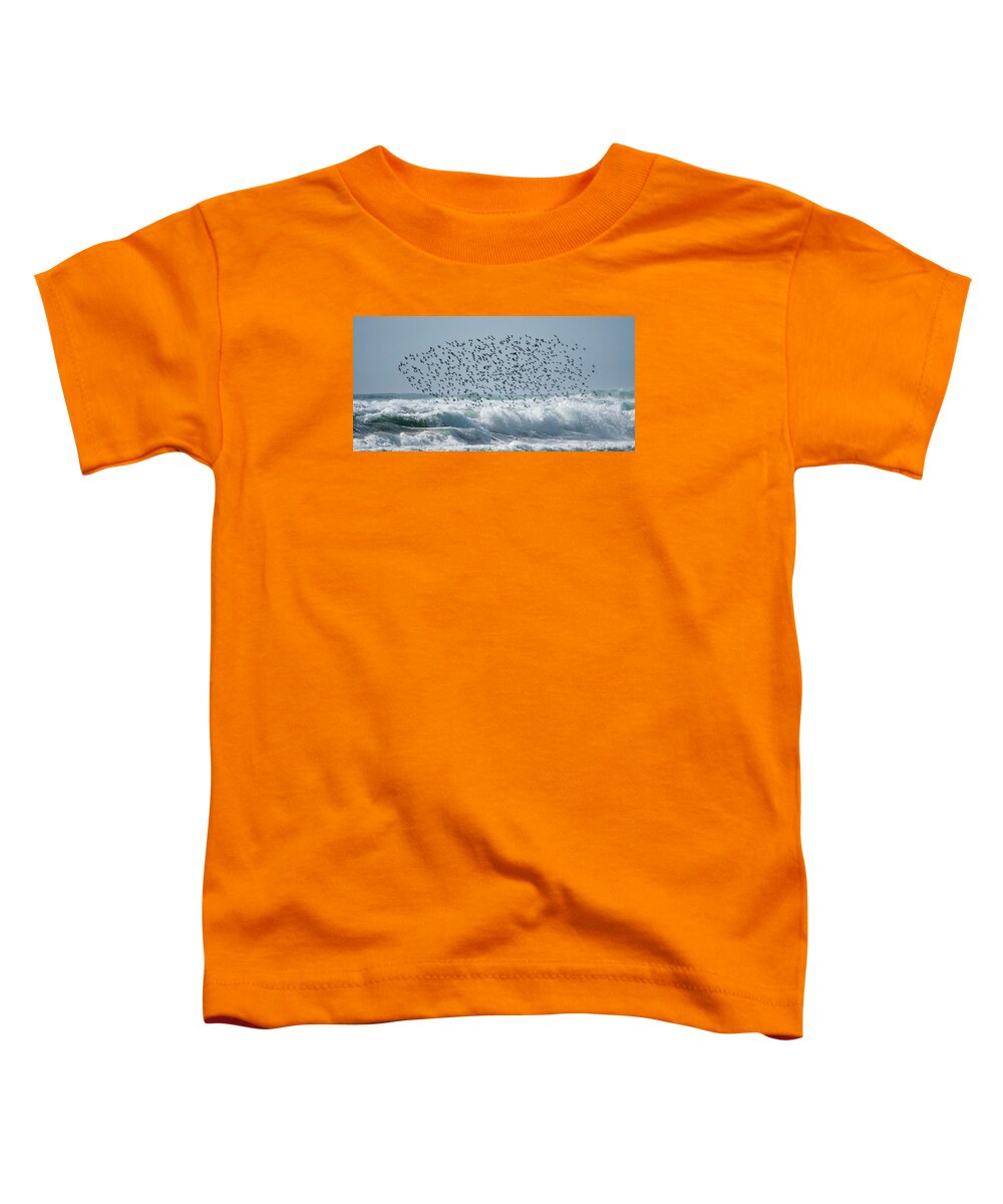 Above The Break - Toddler T-Shirt