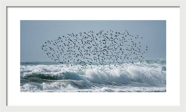 Above The Break - Framed Print