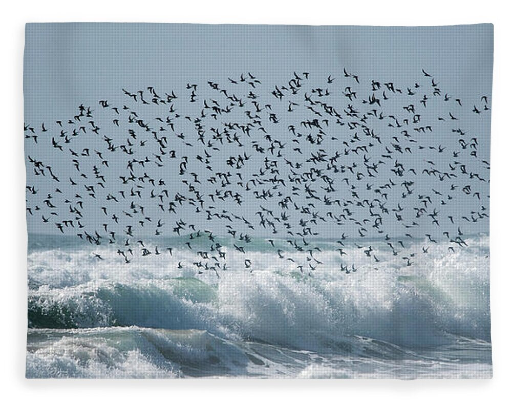 Above The Break - Blanket