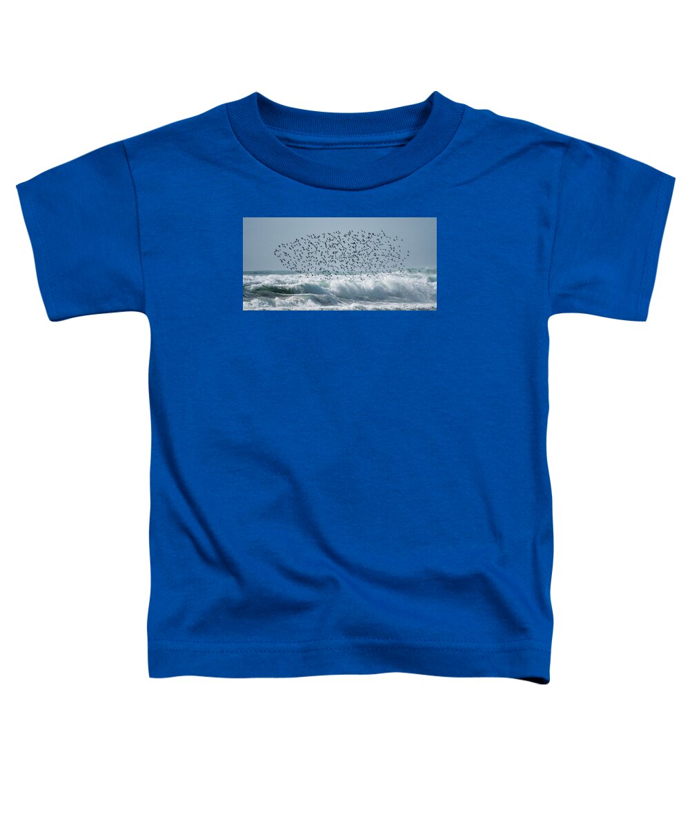 Above The Break - Toddler T-Shirt
