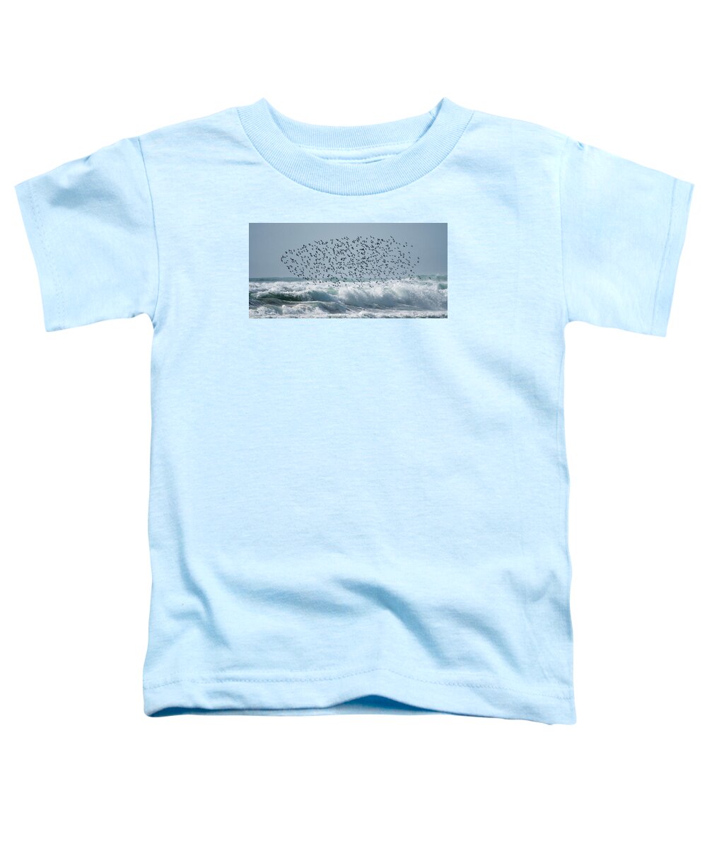 Above The Break - Toddler T-Shirt