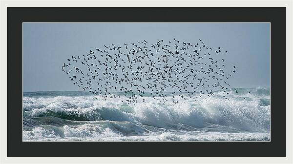 Above The Break - Framed Print