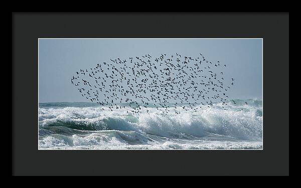 Above The Break - Framed Print
