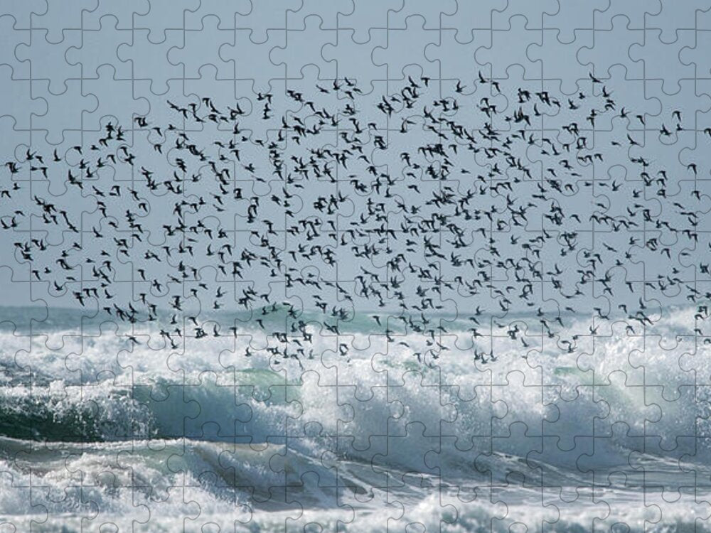 Above The Break - Puzzle