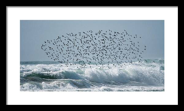 Above The Break - Framed Print