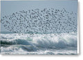 Above The Break - Greeting Card