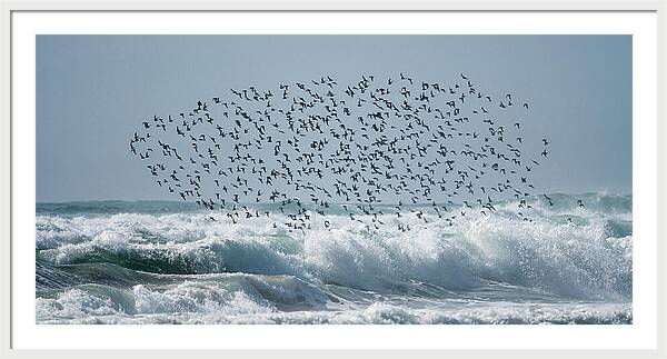 Above The Break - Framed Print