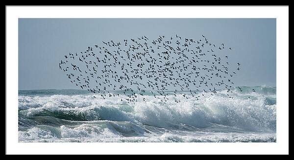 Above The Break - Framed Print