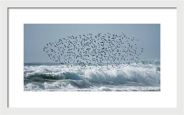 Above The Break - Framed Print