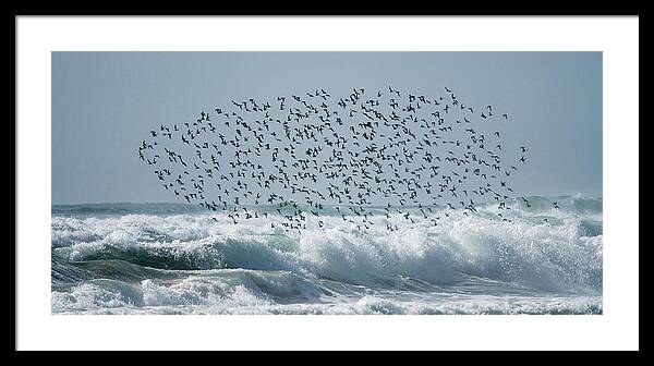 Above The Break - Framed Print