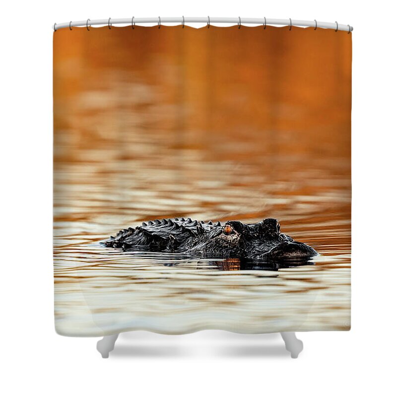 Amber Hour - Shower Curtain