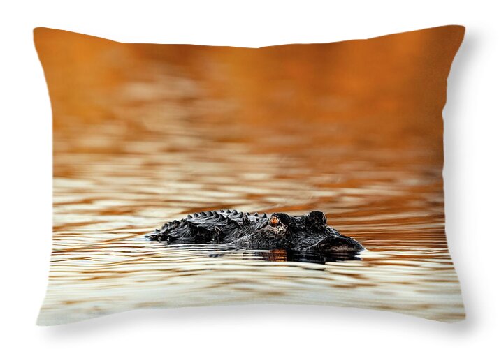Amber Hour - Throw Pillow