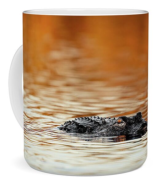 Amber Hour - Mug