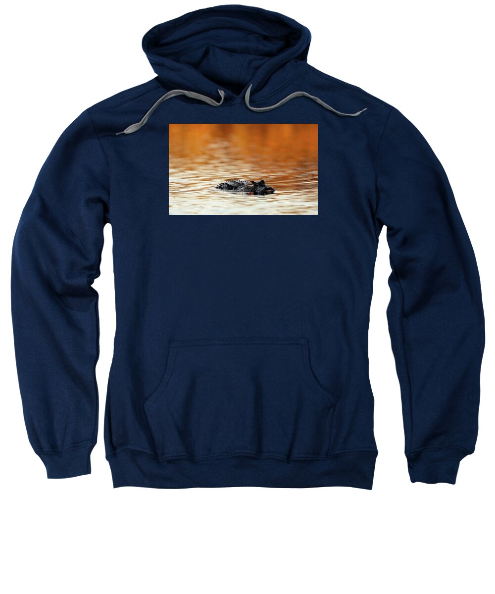 Amber Hour - Sweatshirt