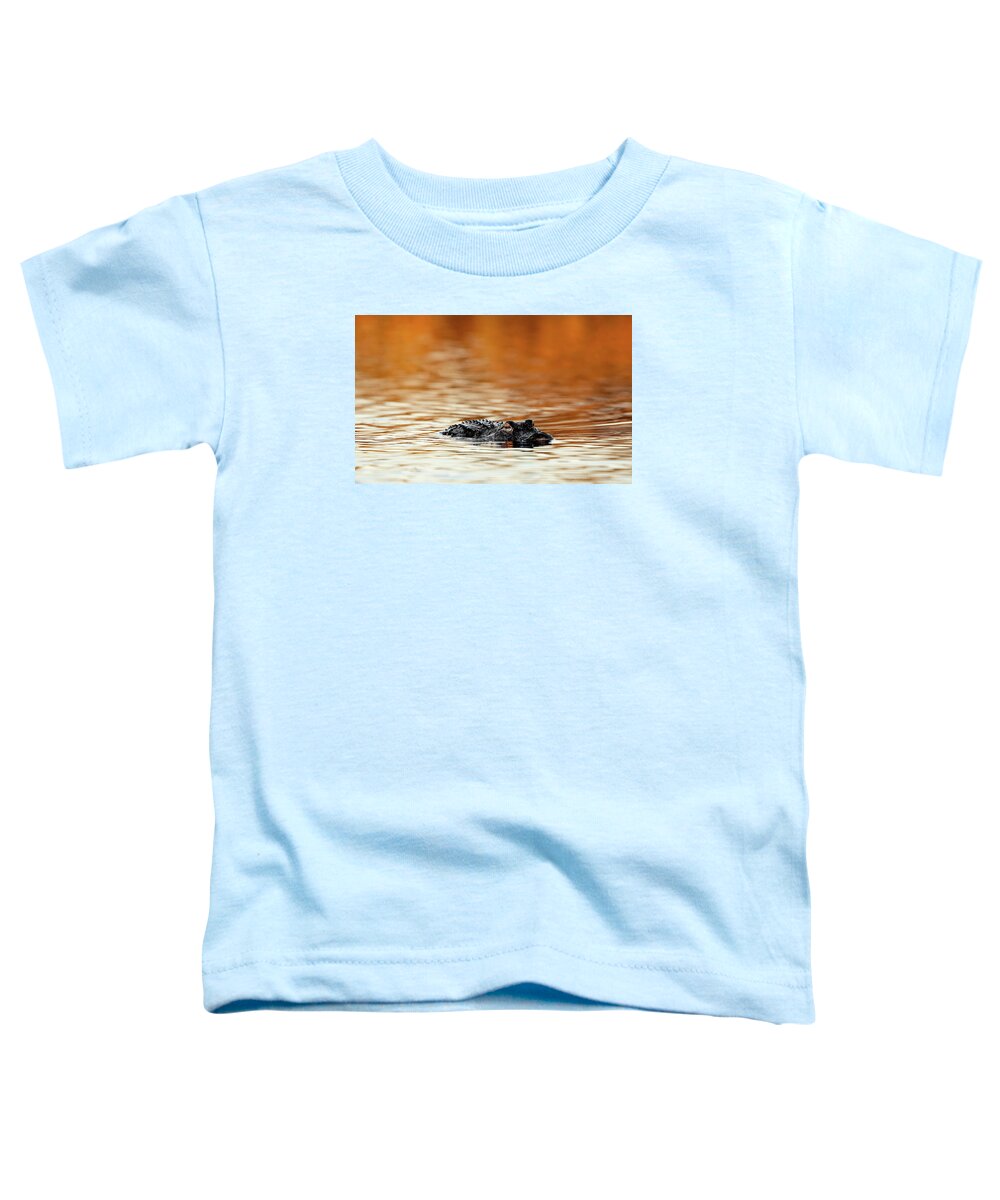 Amber Hour - Toddler T-Shirt