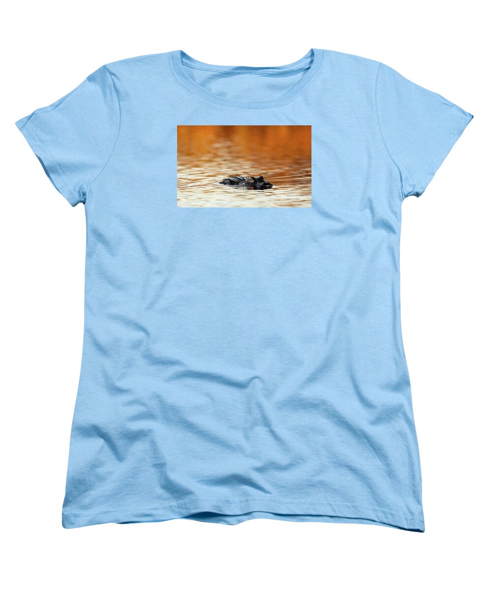 Amber Hour - Women's T-Shirt (Standard Fit)
