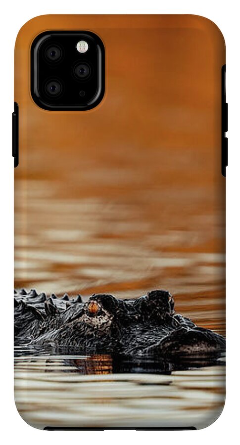 Amber Hour - Phone Case