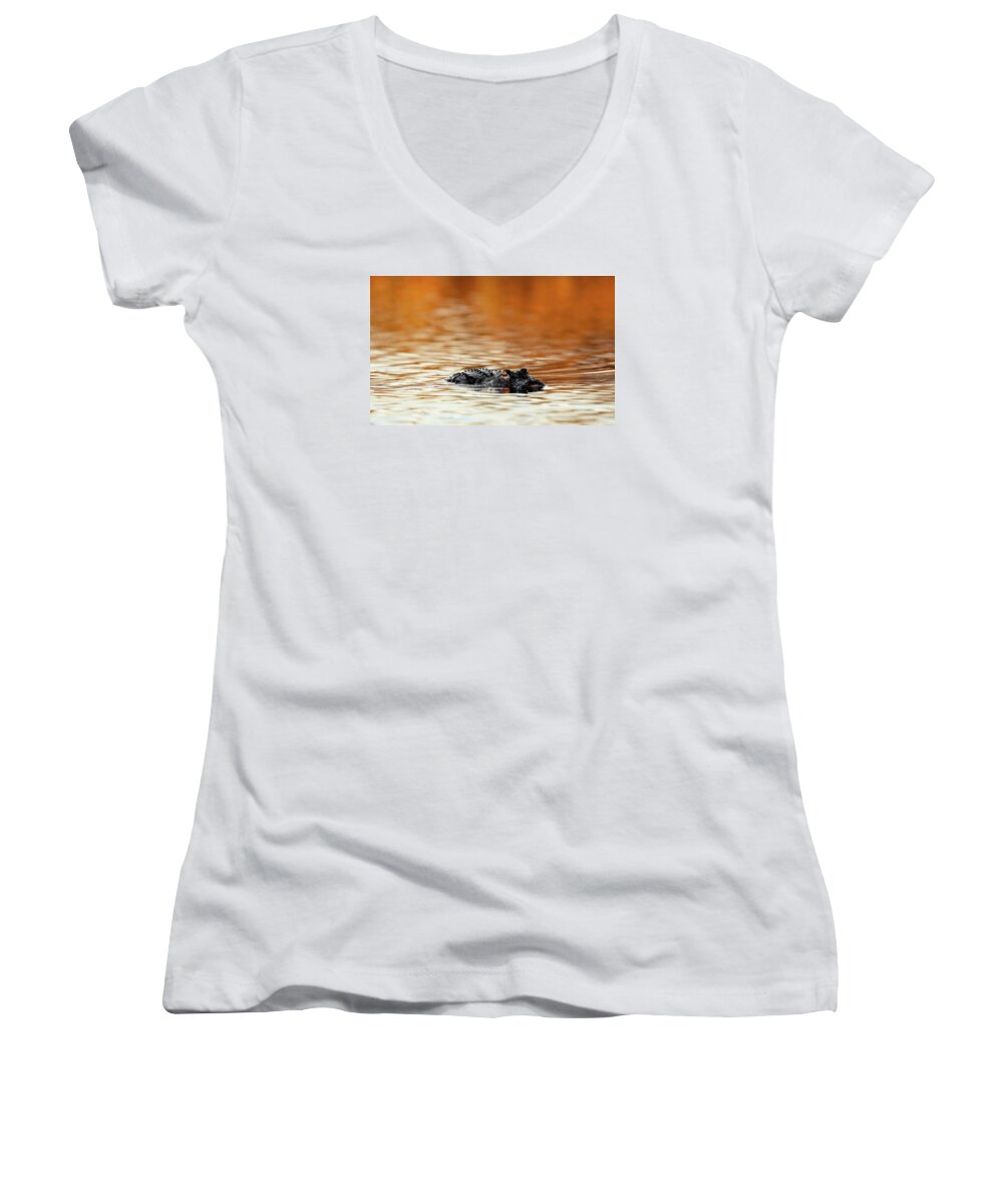 Amber Hour - Women's V-Neck