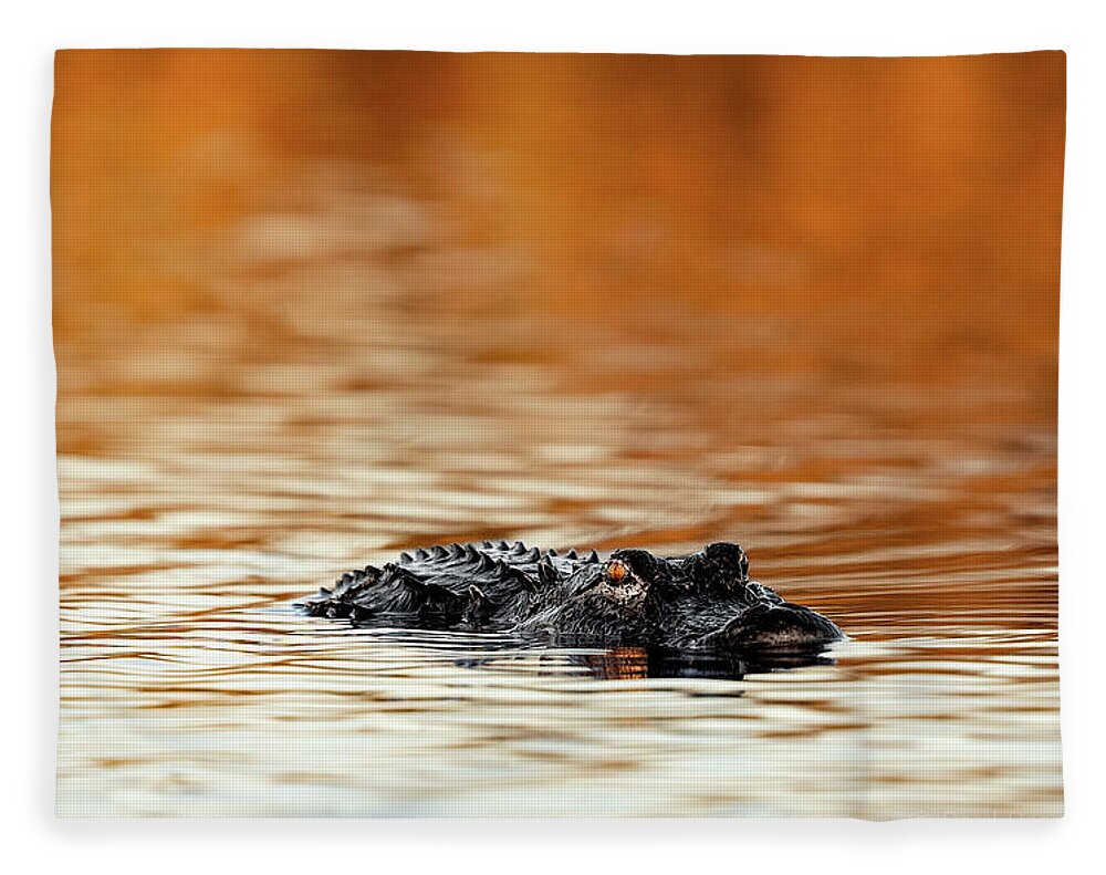 Amber Hour - Blanket