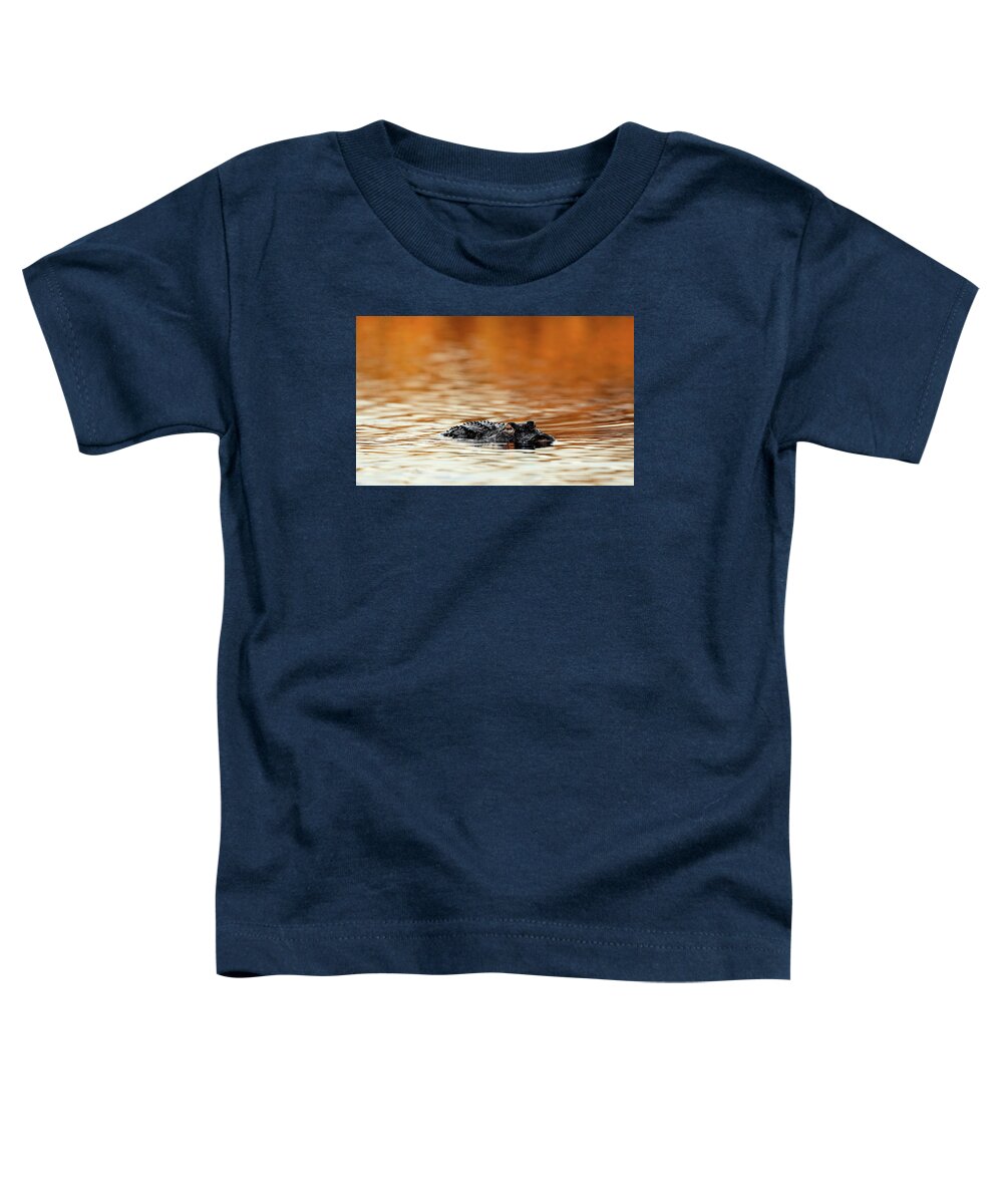 Amber Hour - Toddler T-Shirt