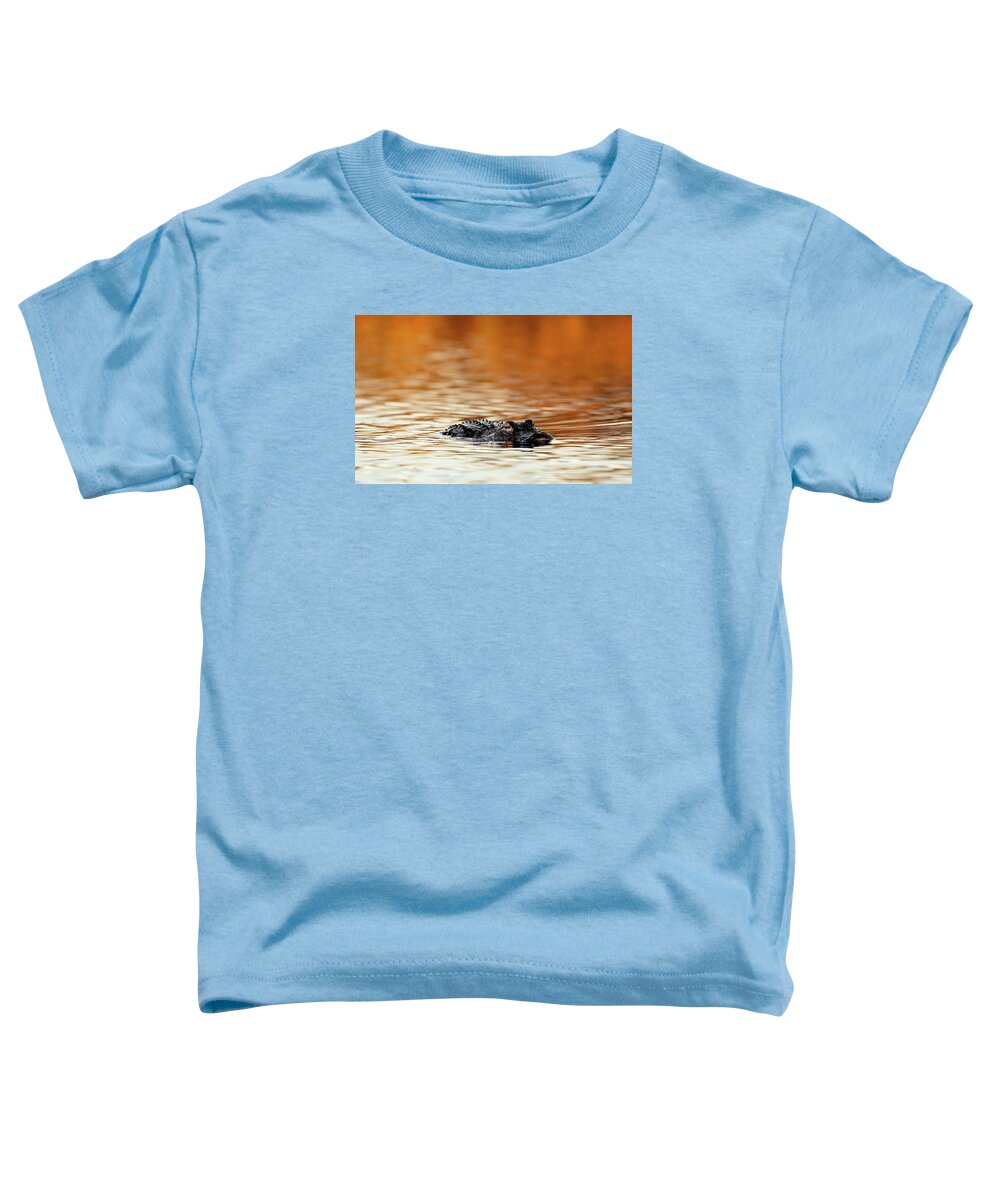Amber Hour - Toddler T-Shirt