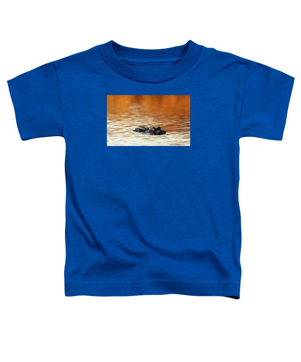 Amber Hour - Toddler T-Shirt