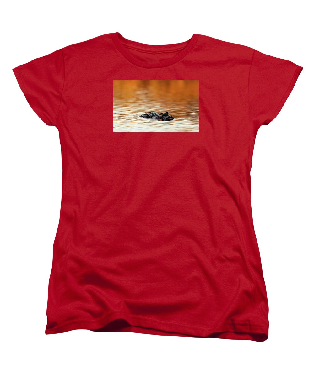 Amber Hour - Women's T-Shirt (Standard Fit)