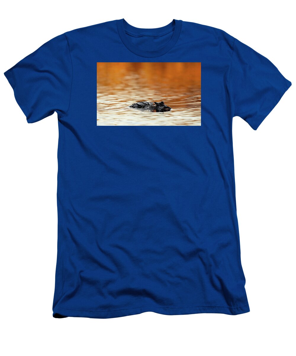 Amber Hour - T-Shirt