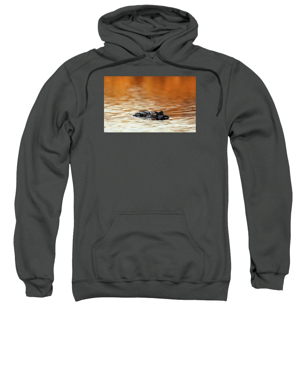 Amber Hour - Sweatshirt