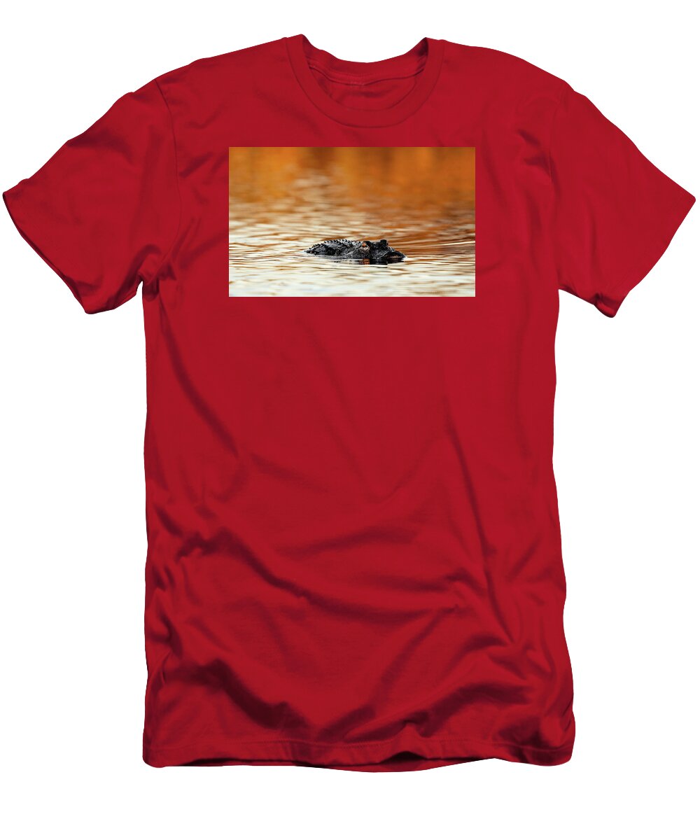 Amber Hour - T-Shirt