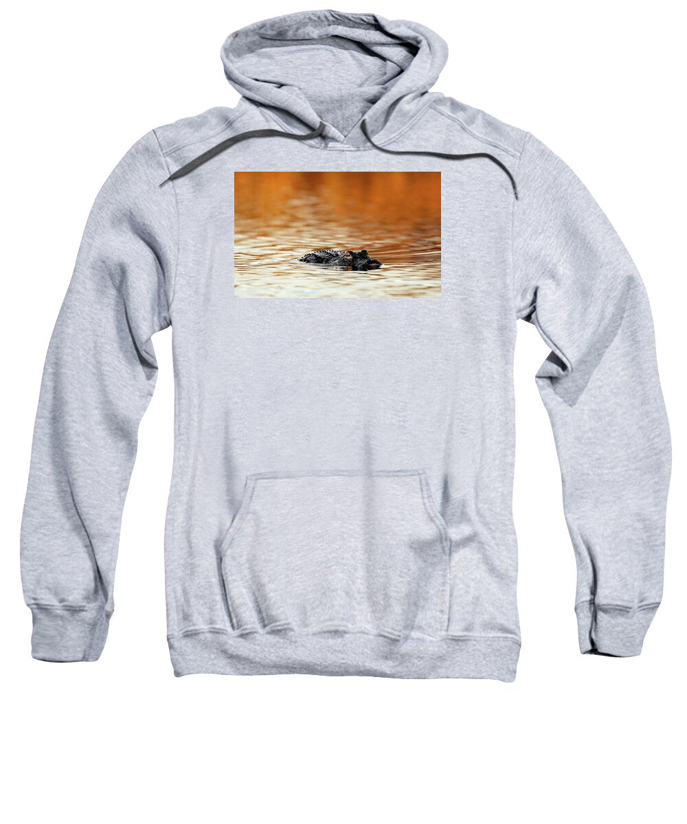 Amber Hour - Sweatshirt