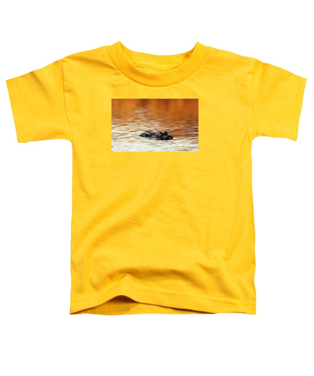 Amber Hour - Toddler T-Shirt