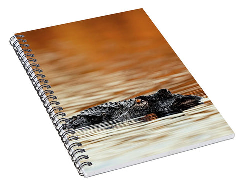 Amber Hour - Spiral Notebook