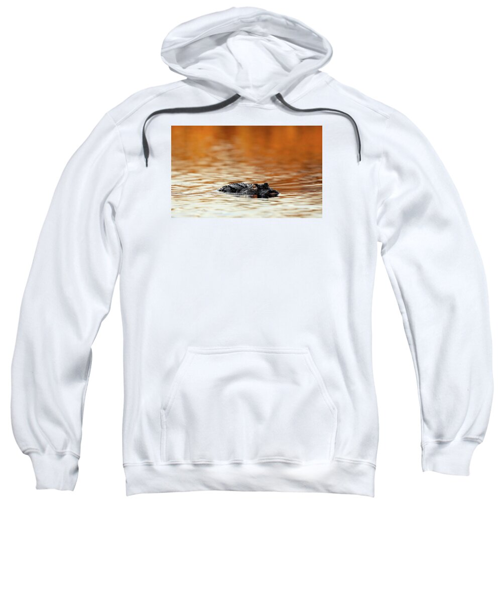 Amber Hour - Sweatshirt