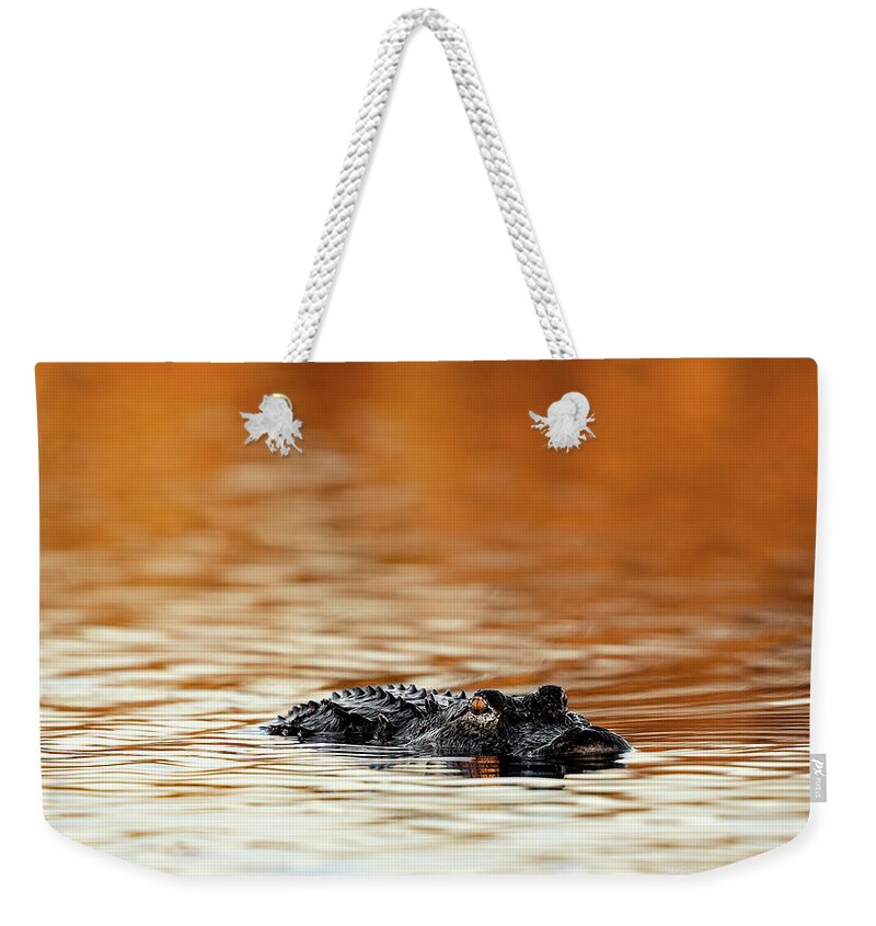Amber Hour - Weekender Tote Bag