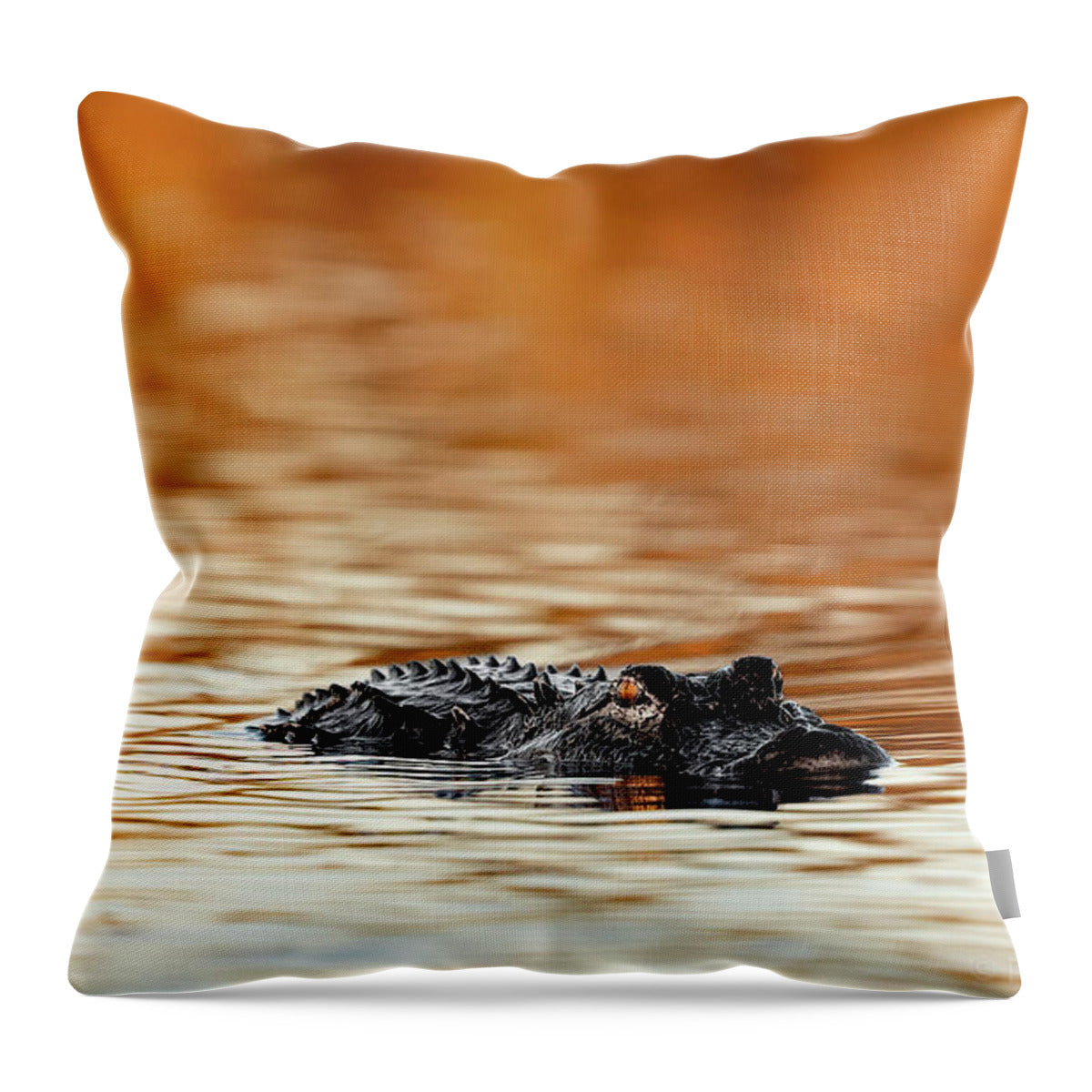 Amber Hour - Throw Pillow