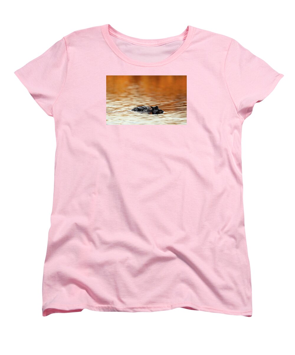 Amber Hour - Women's T-Shirt (Standard Fit)