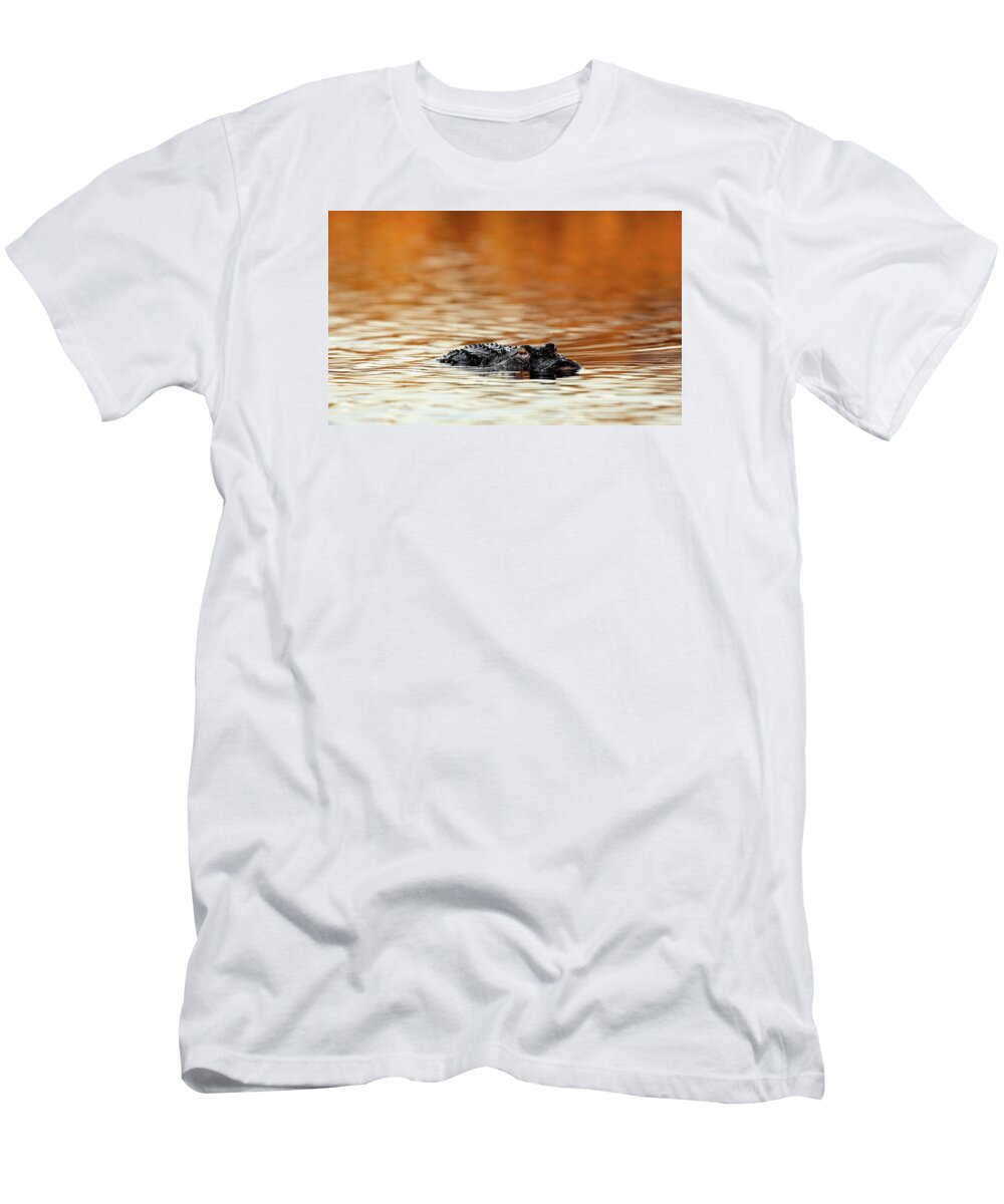 Amber Hour - T-Shirt