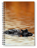Amber Hour - Spiral Notebook