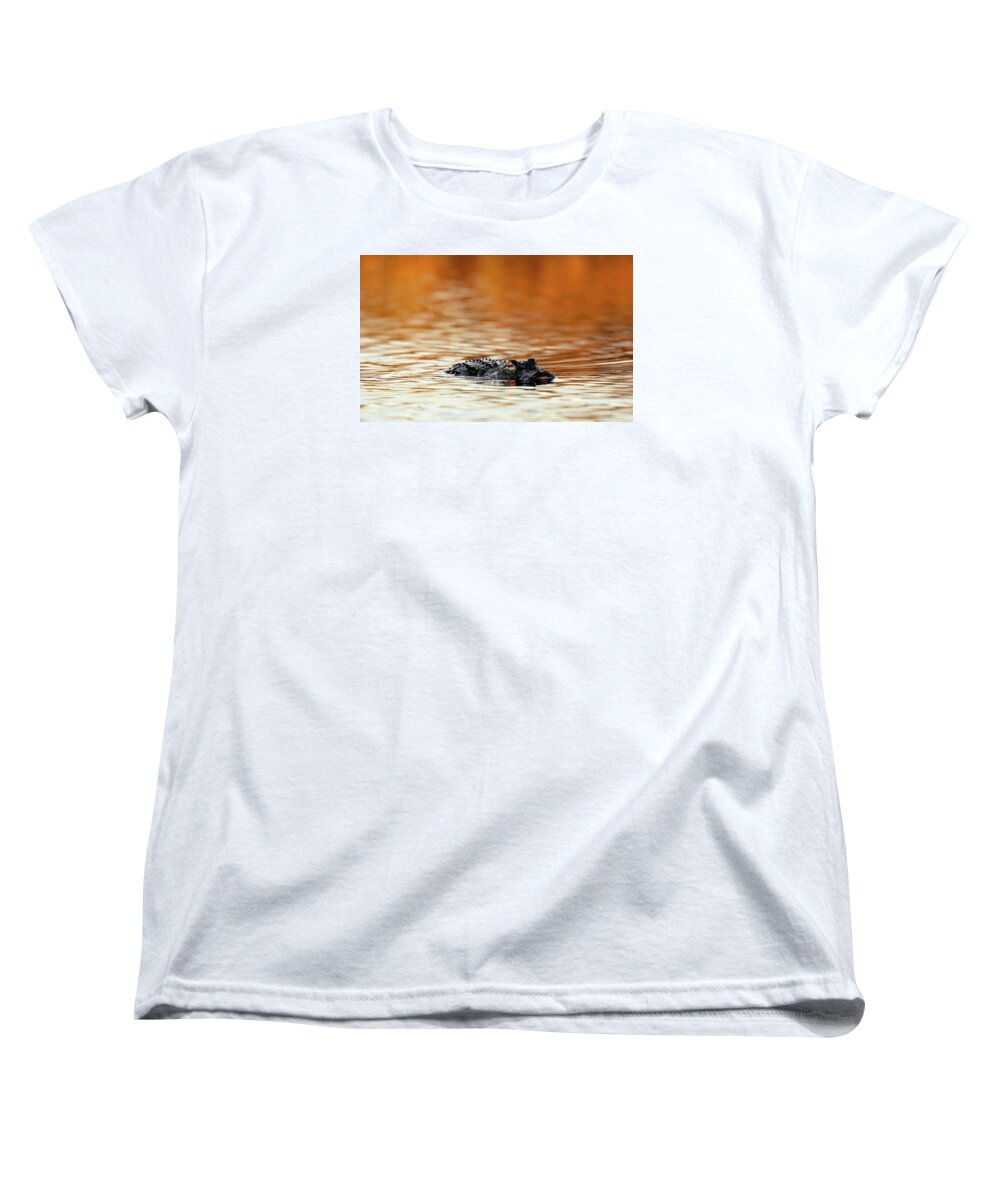 Amber Hour - Women's T-Shirt (Standard Fit)