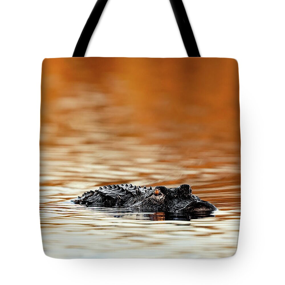 Amber Hour - Tote Bag