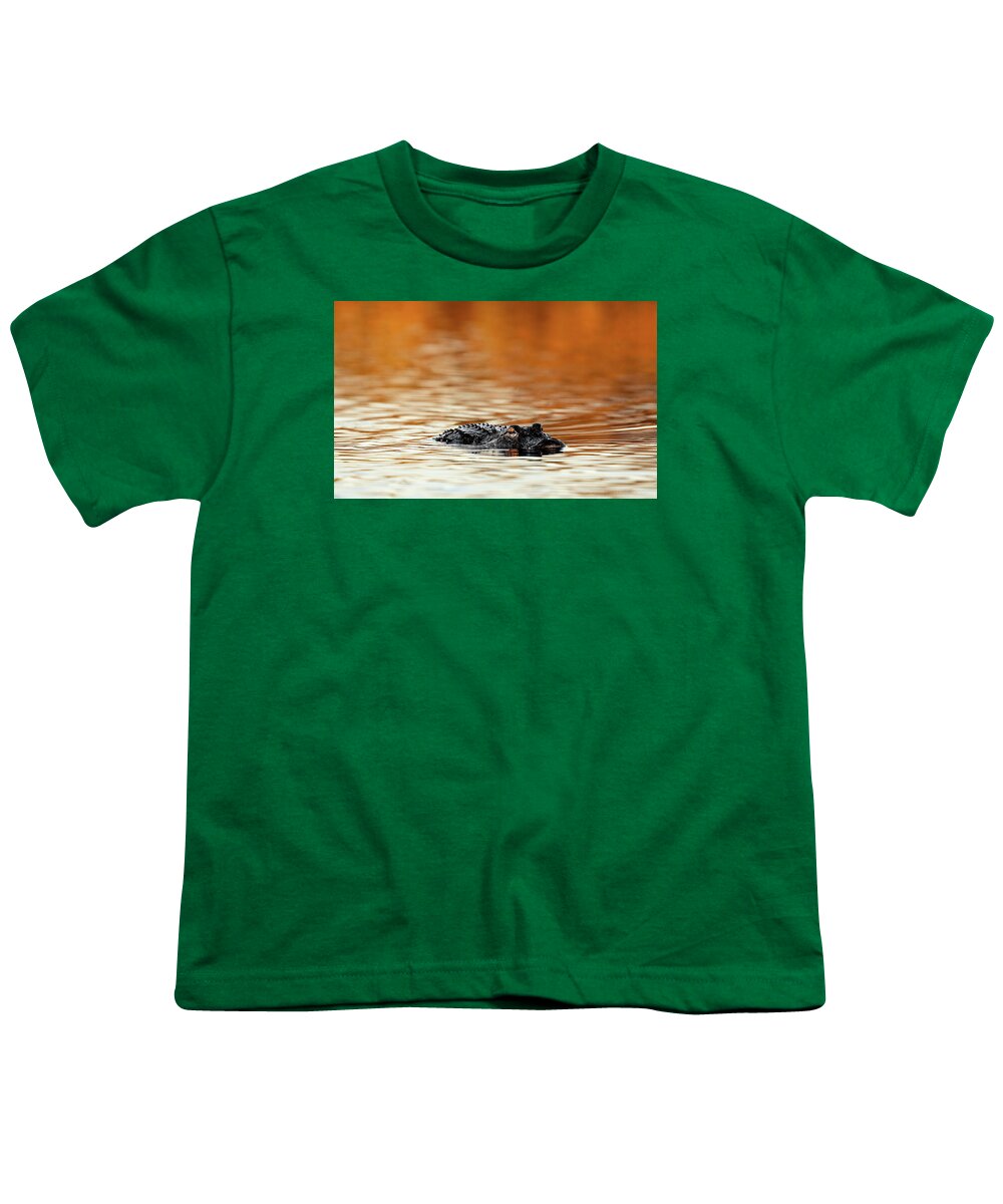 Amber Hour - Youth T-Shirt