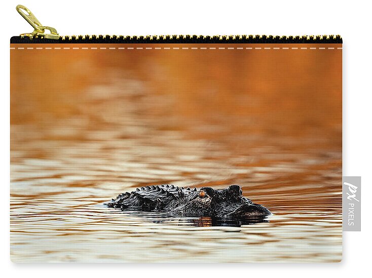 Amber Hour - Zip Pouch