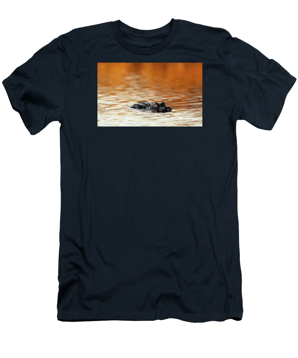 Amber Hour - T-Shirt