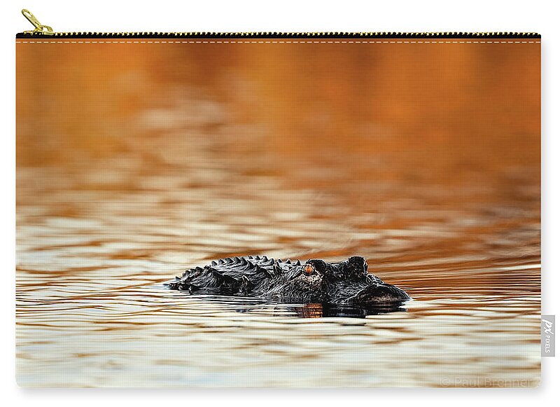 Amber Hour - Zip Pouch