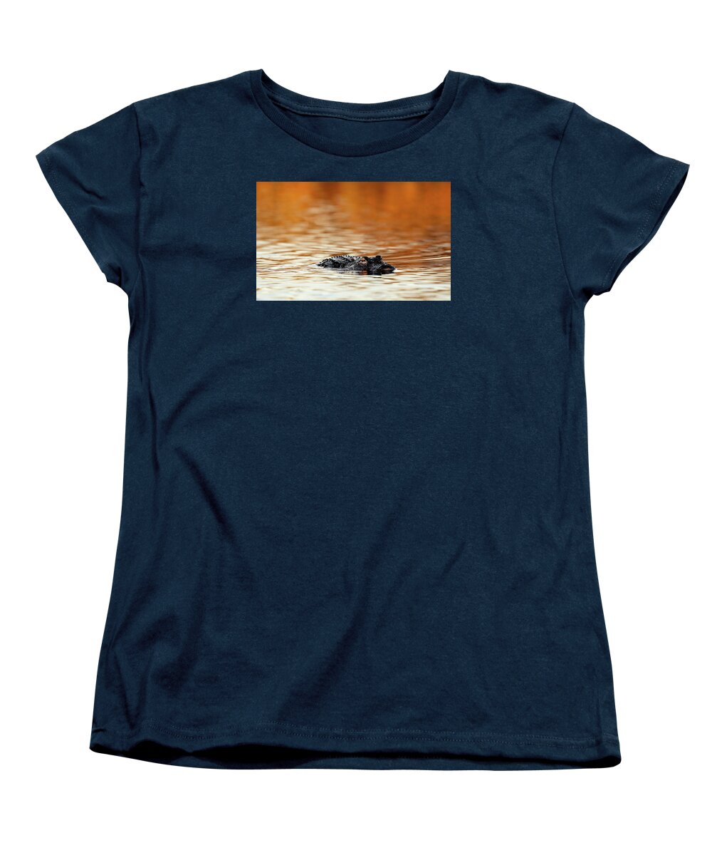 Amber Hour - Women's T-Shirt (Standard Fit)